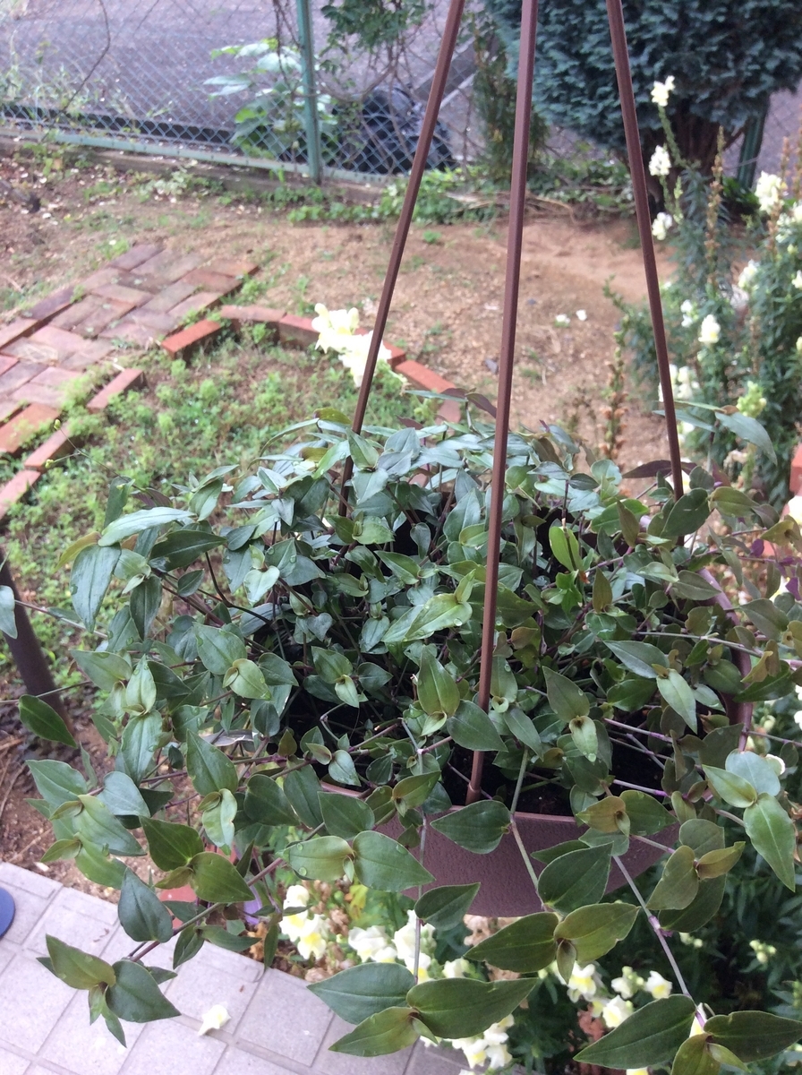 f:id:Michelmama:20190629080447j:plain f:id:Michelmama:20190629080447j:plain
