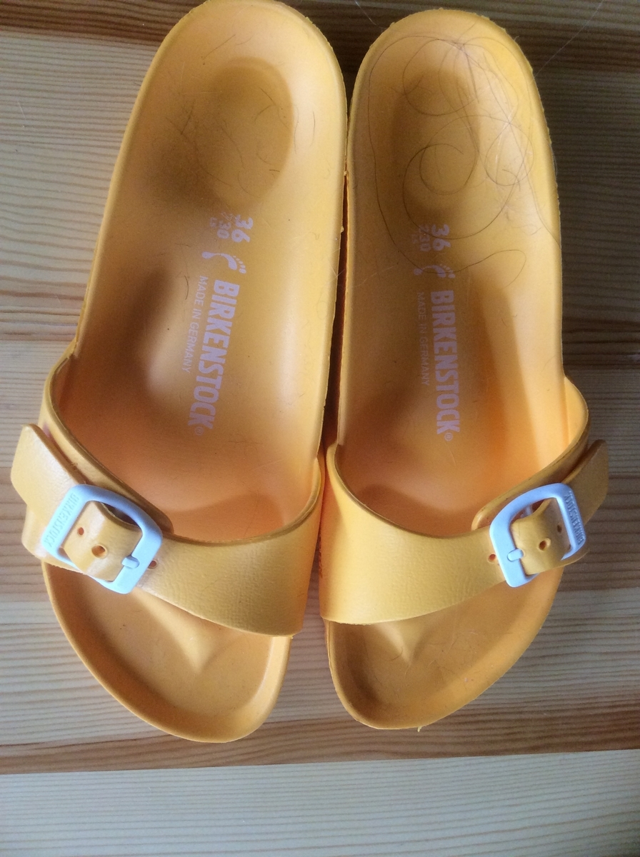 f:id:Michelmama:20191114230136j:plain f:id:Michelmama:20191114230136j:plain