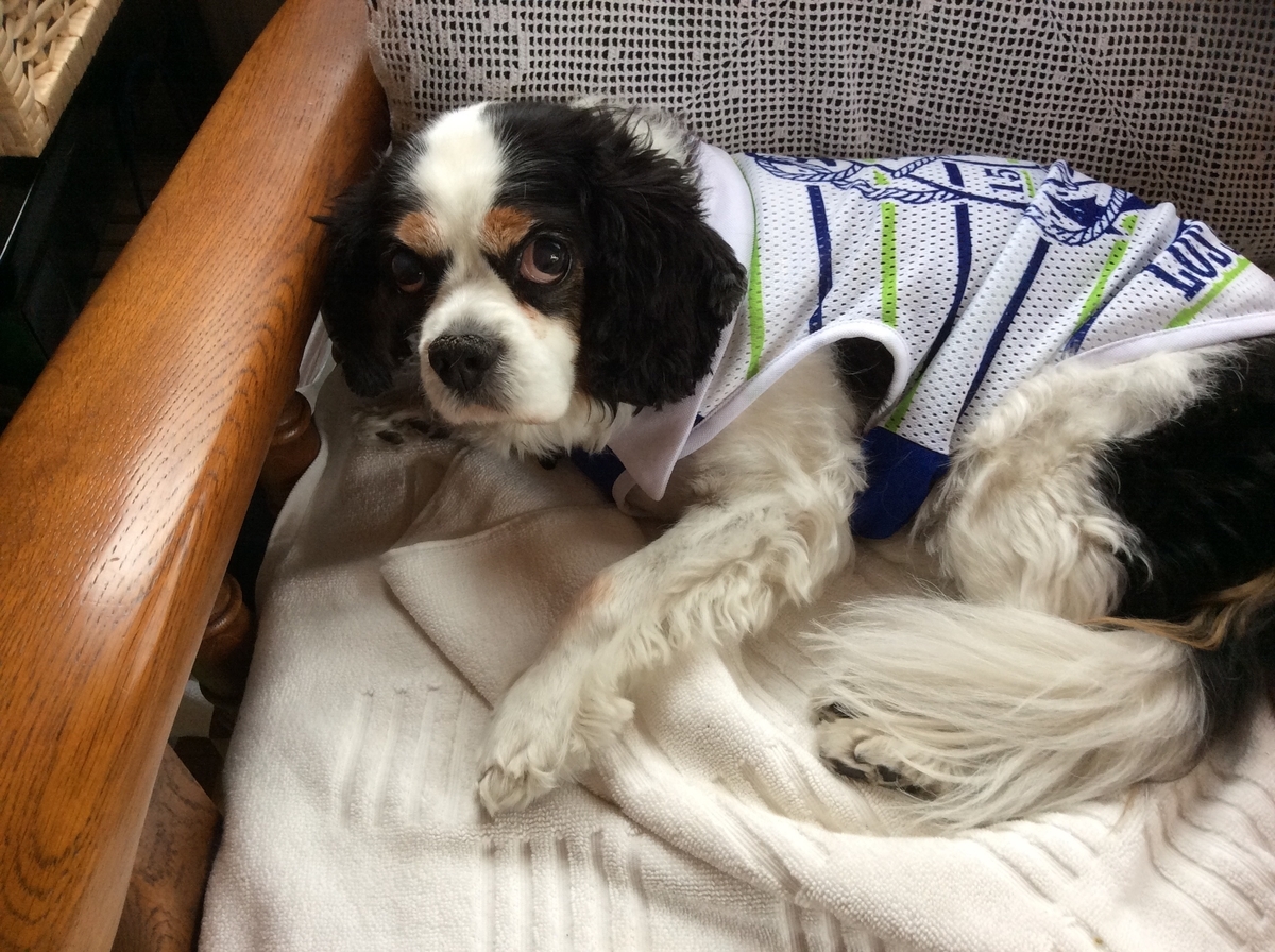 f:id:Michelmama:20200506082033j:plain f:id:Michelmama:20200506082033j:plain