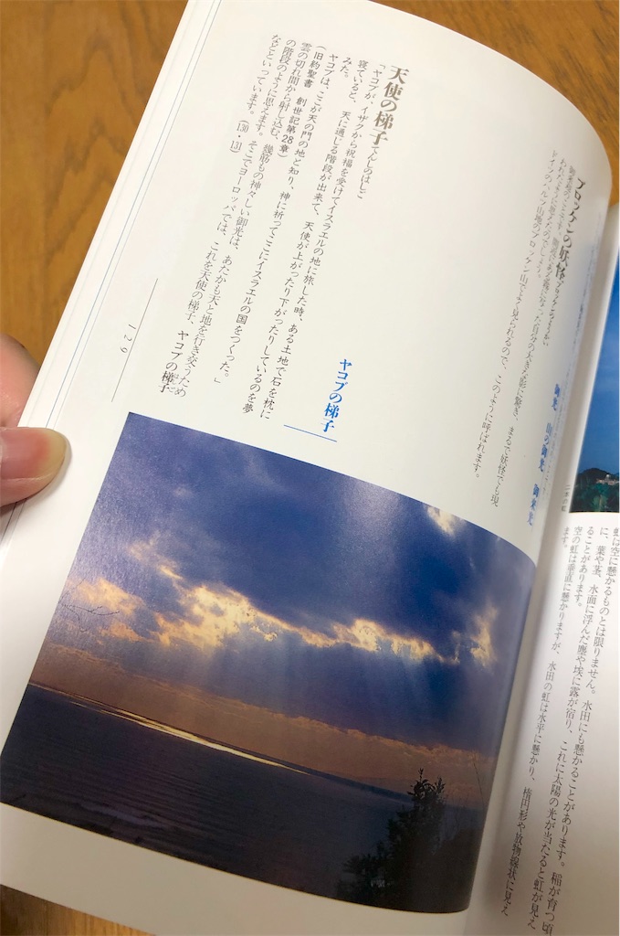 f:id:Michikadesign:20190709215412j:image