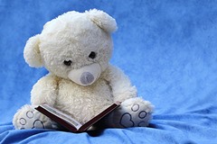 読書中のクマのぬいぐるみのイメージ