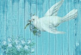 white bird