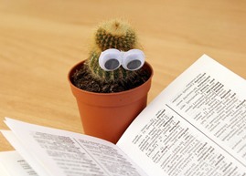 サボテンと読みかけの本