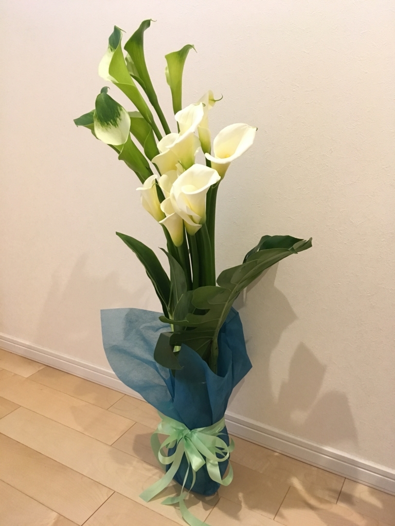 f:id:MichiyoKEIKO:20180203225439j:plain f:id:MichiyoKEIKO:20180203225439j:plain
