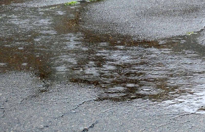 今日も雨降り - 北海道十勝の山里で山遊び