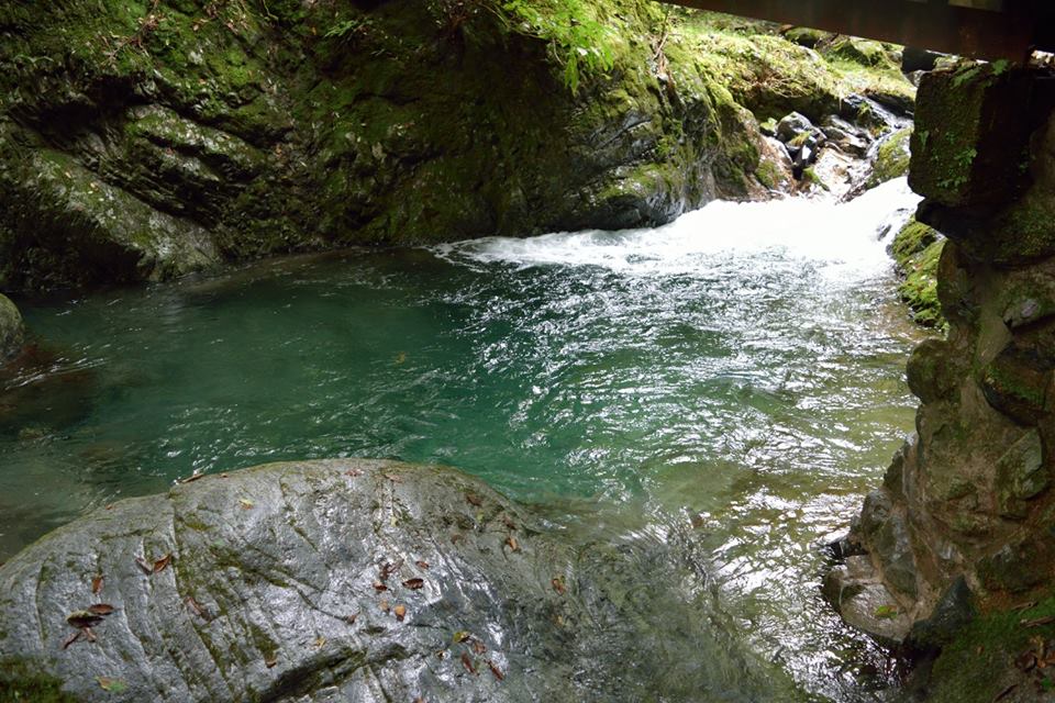 f:id:Mickey6:20161009015505j:plain