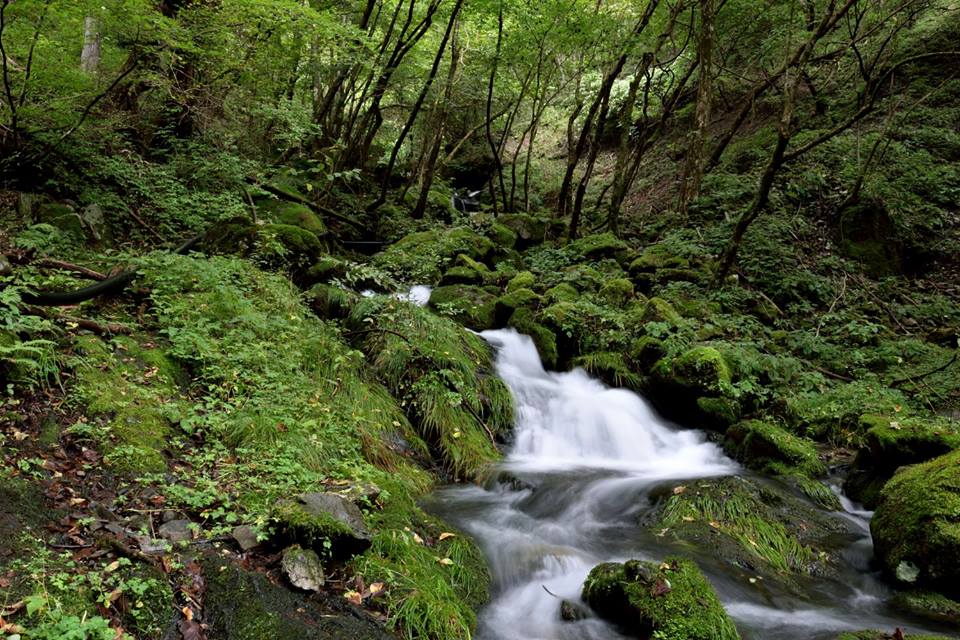 f:id:Mickey6:20161009015519j:plain