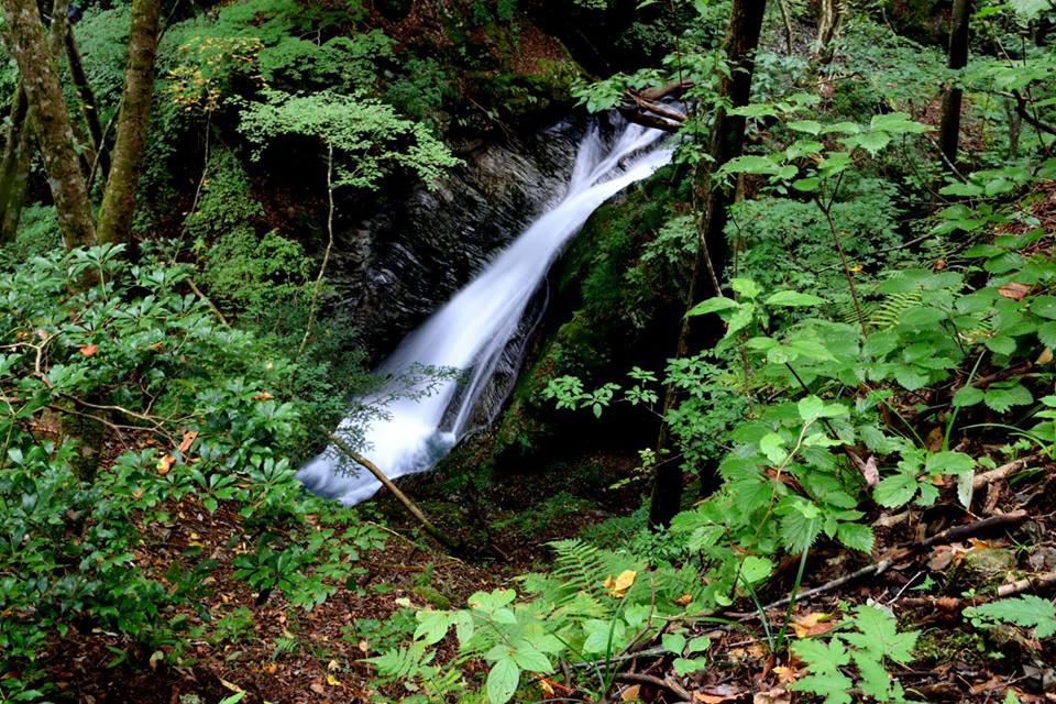 f:id:Mickey6:20161009015530j:plain