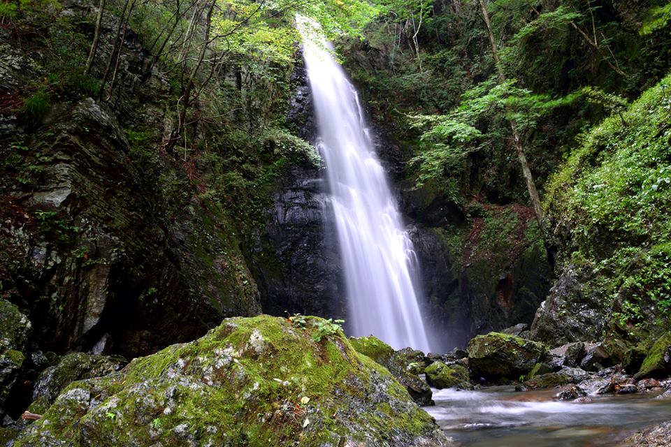 f:id:Mickey6:20161009020931j:plain