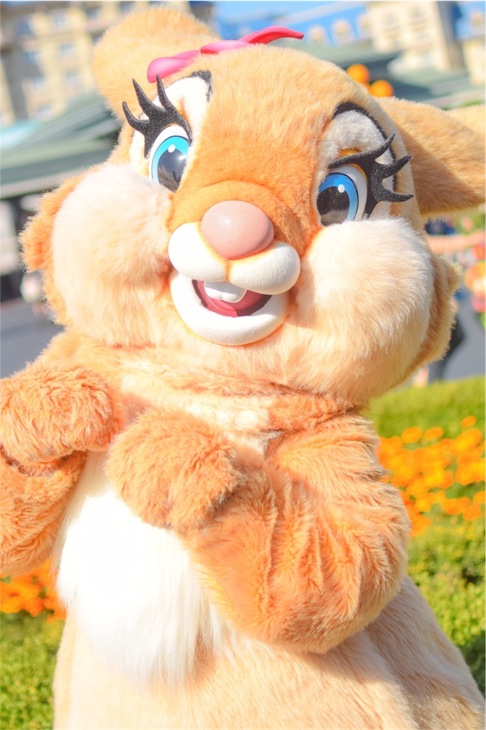 f:id:Mickeypals1013:20161025011326j:image f:id:Mickeypals1013:20161025011326j:image