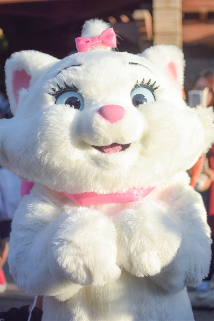 f:id:Mickeypals1013:20161025120103j:image f:id:Mickeypals1013:20161025120103j:image