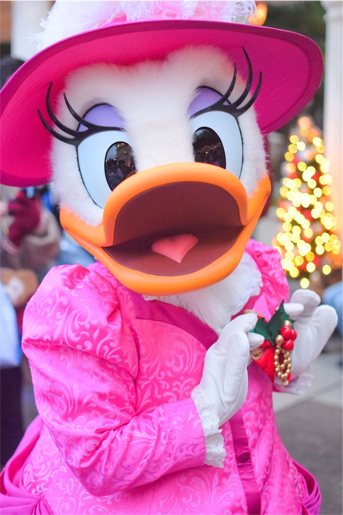 f:id:Mickeypals1013:20161125152257j:image f:id:Mickeypals1013:20161125152257j:image