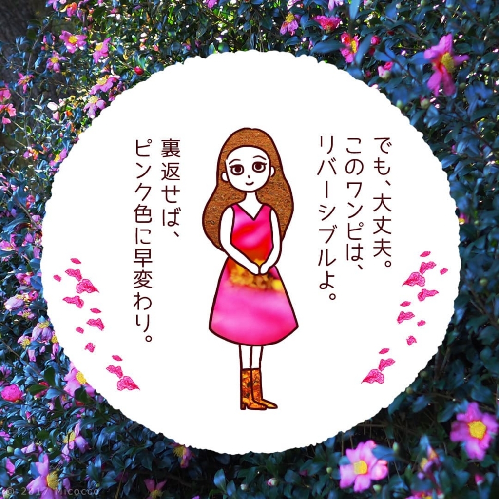 f:id:Micocco:20171203170951j:plain