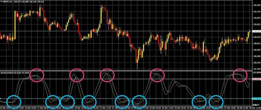 f:id:Microblogger:20191109181610j:plain