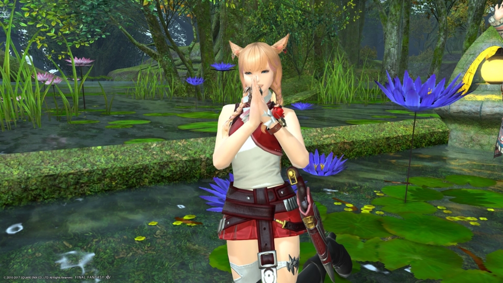 f:id:MiePallum:20170218005807j:plain