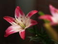 20090612015852