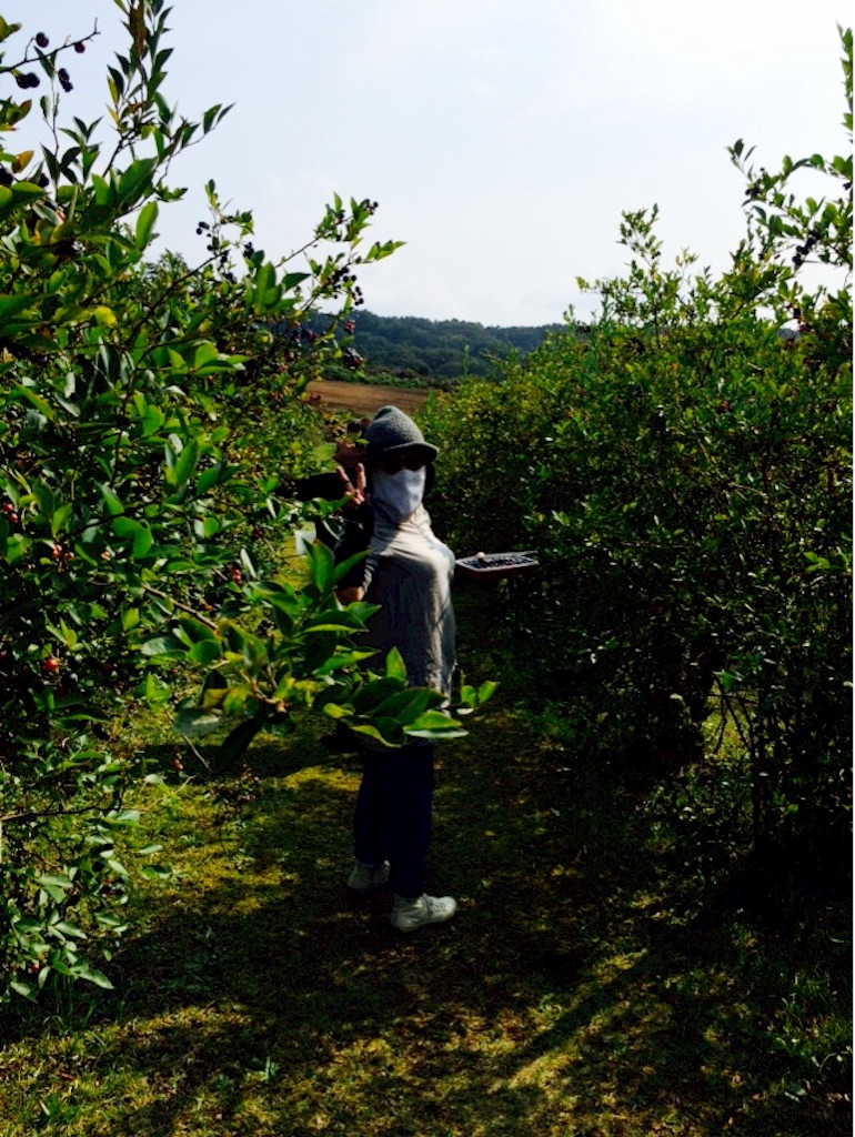f:id:Migaku:20160912164517j:image f:id:Migaku:20160912164517j:image