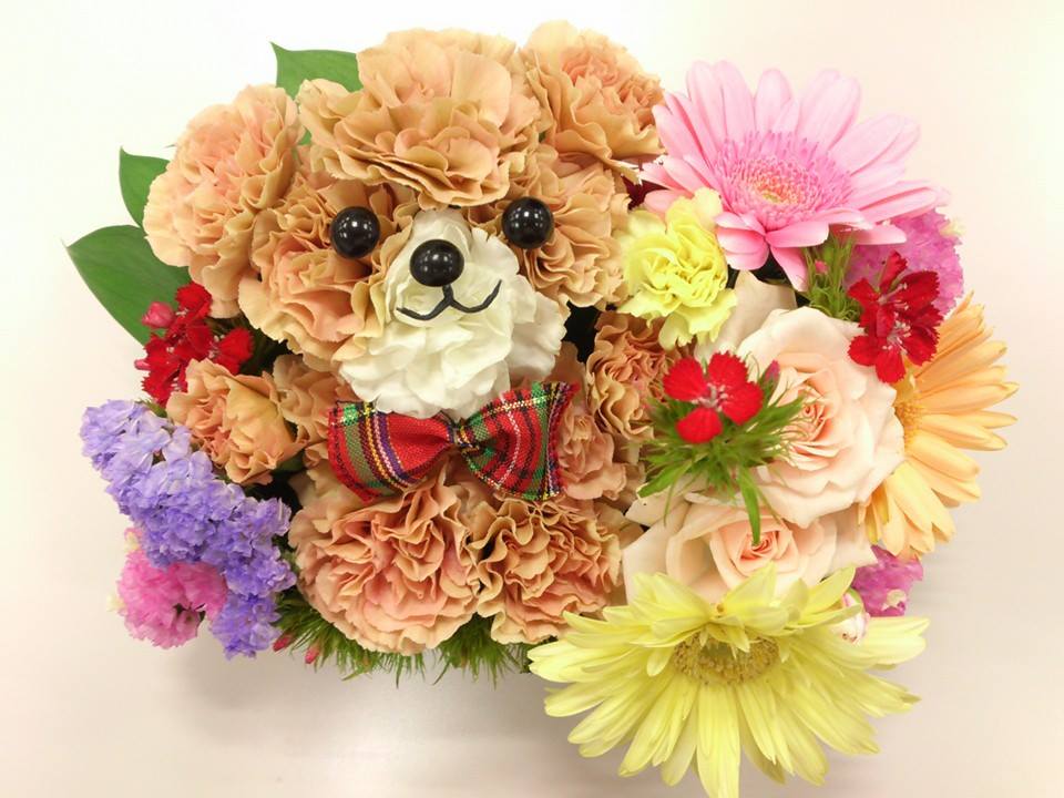 f:id:MihoN:20170424215940j:plain f:id:MihoN:20170424215940j:plain