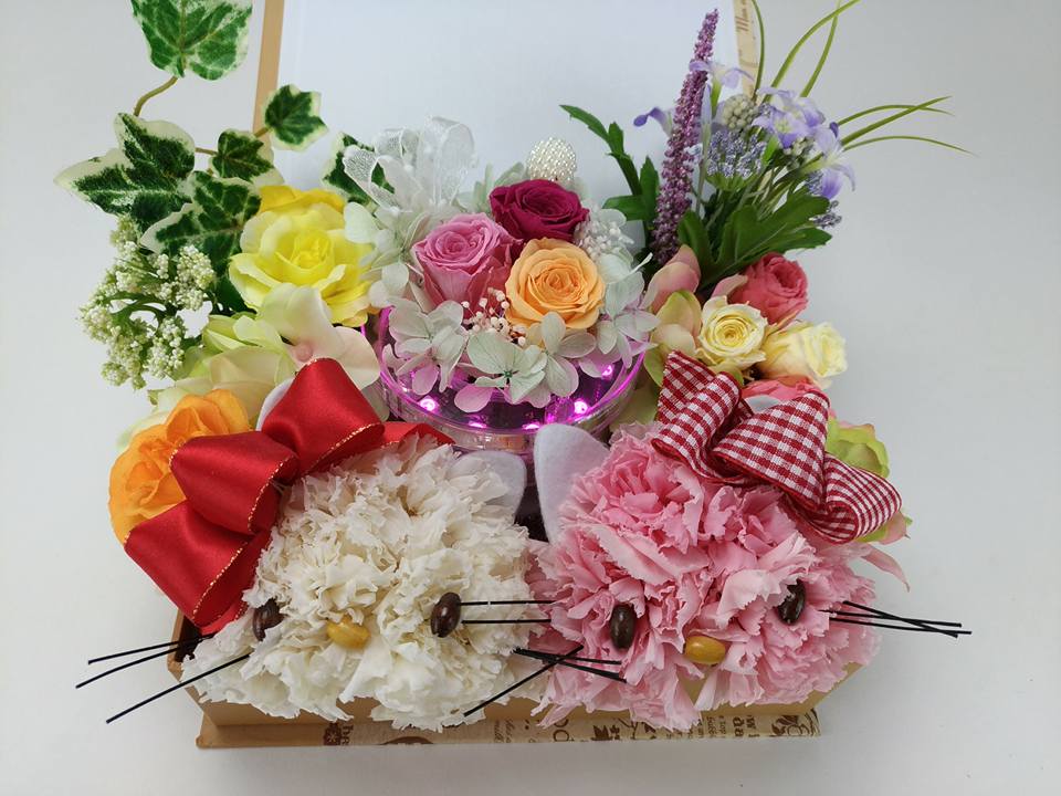 f:id:MihoN:20170424223320j:plain f:id:MihoN:20170424223320j:plain