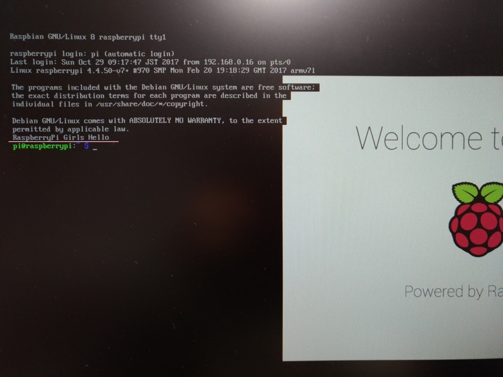 f:id:MihoN:20171029095634j:plain f:id:MihoN:20171029095634j:plain