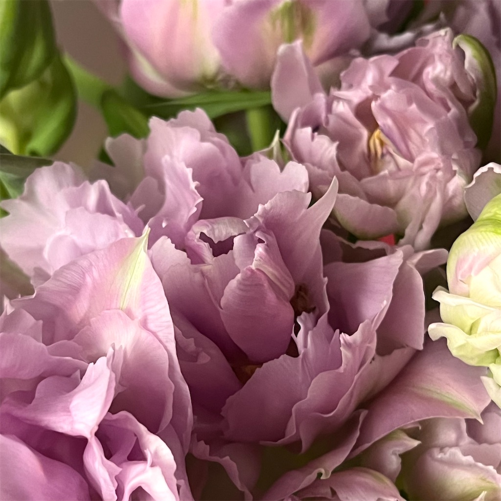f:id:Mihoy:20260306052139j:image f:id:Mihoy:20260306052139j:image