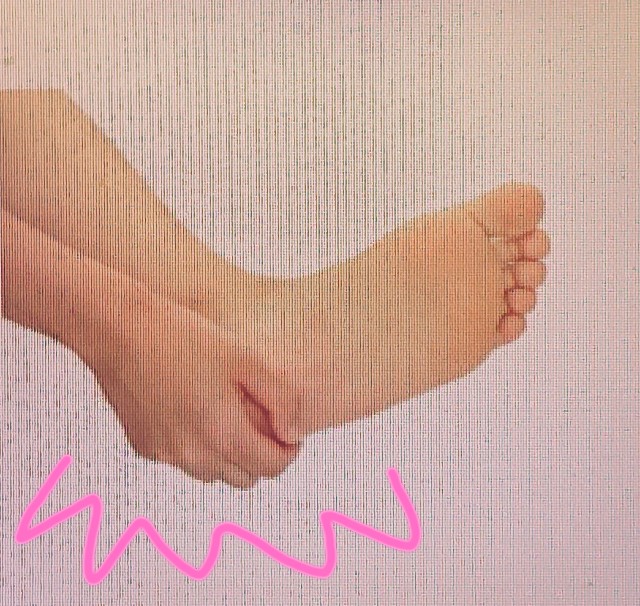 f:id:Miia:20200801184458j:image f:id:Miia:20200801184458j:image