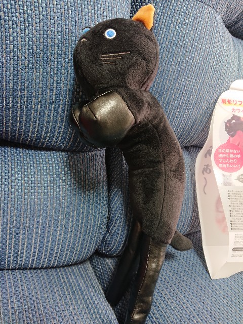 f:id:Miia:20201129173727j:image