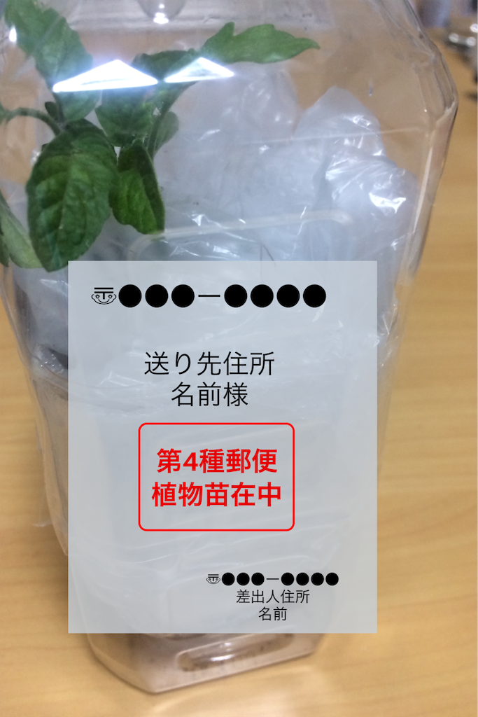 安く送れる！植物の苗を第4種郵便で送ってみました。 - みいの記録帳