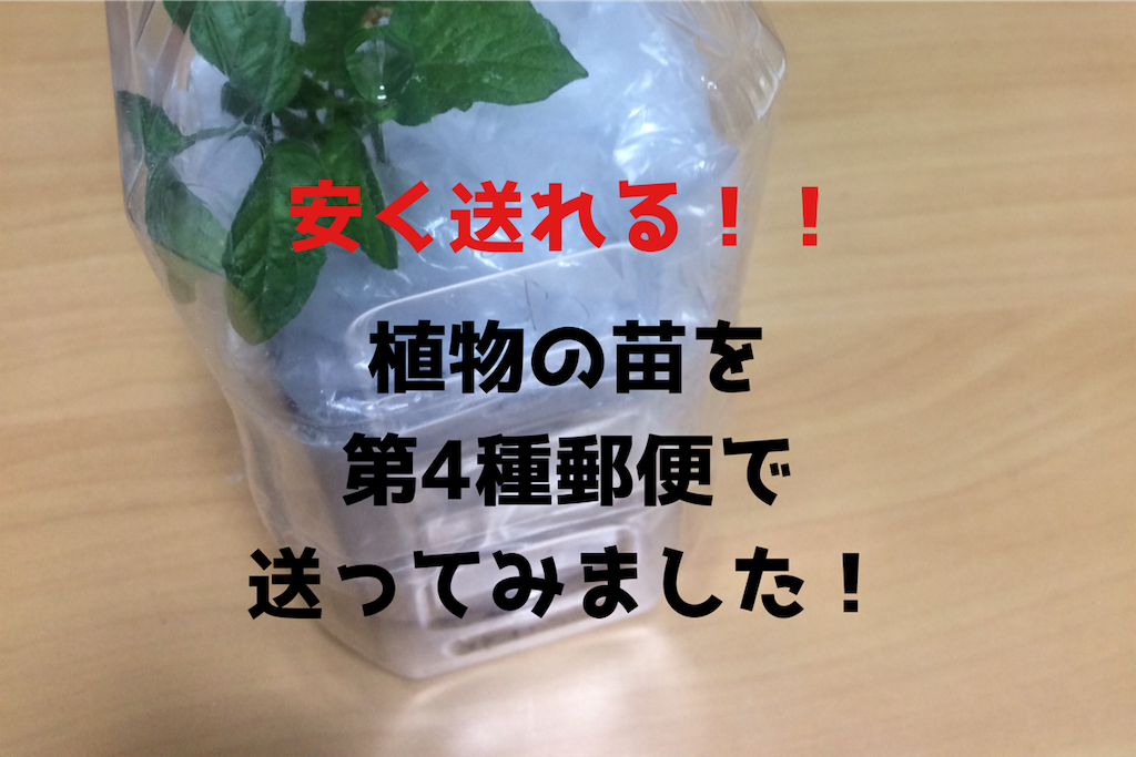Funaki♡第4種子郵便植物は週末発送ページ 年末年始の第4種郵便（種子）発送についてのご案内 その他インテリア