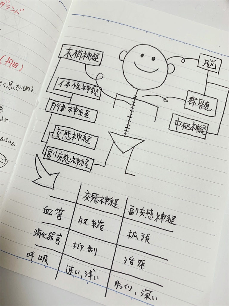 f:id:Mika0321:20190428204541j:image