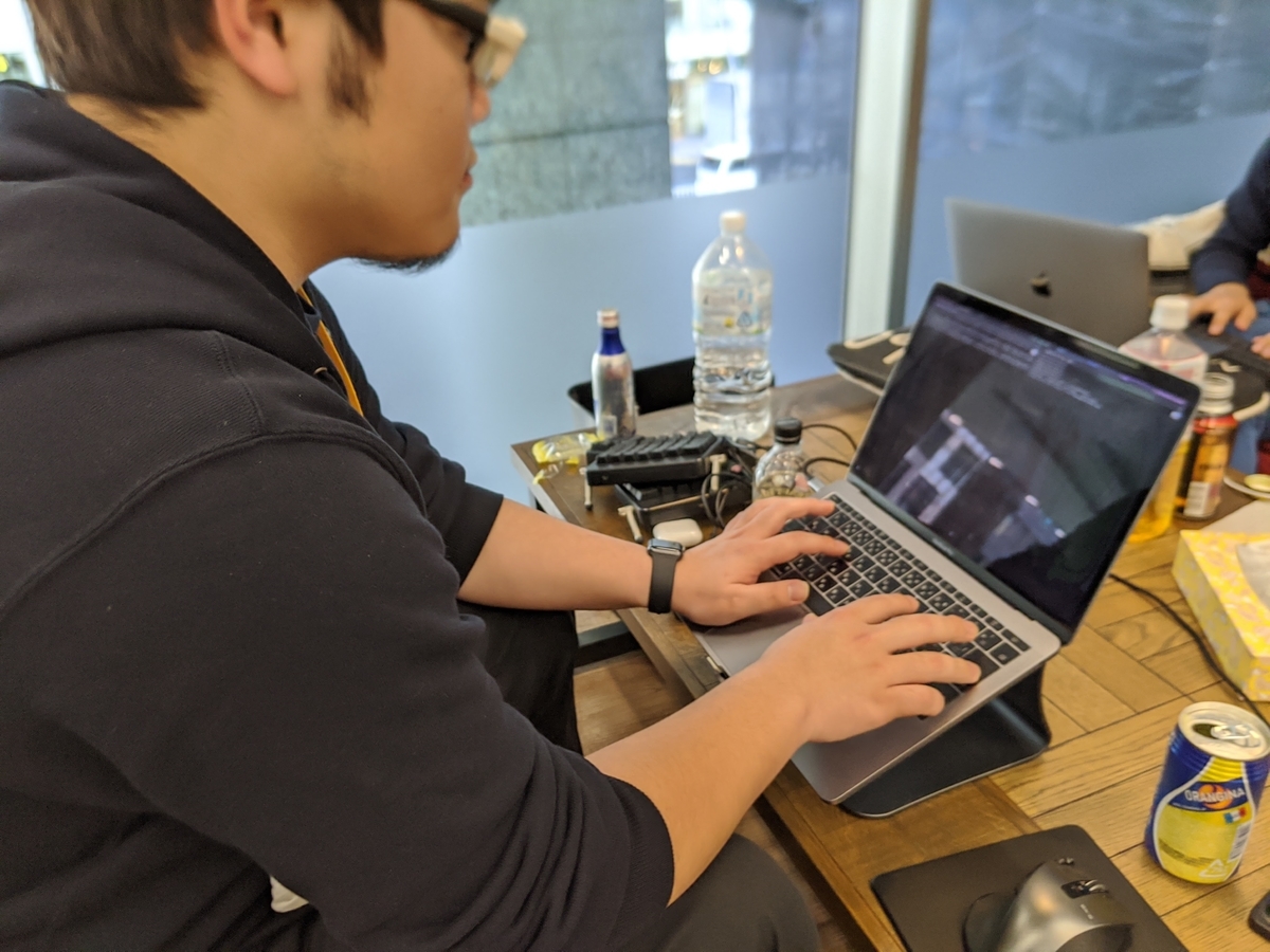 f:id:MikaE:20200305153959j:plain f:id:MikaE:20200305153959j:plain