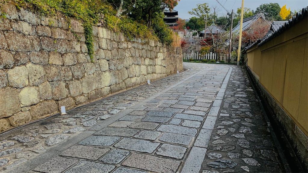 f:id:Mikagi_Marfes:20211207002310j:image f:id:Mikagi_Marfes:20211207002310j:image