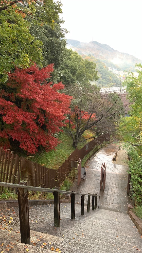 f:id:Mikagi_Marfes:20211208141313j:image f:id:Mikagi_Marfes:20211208141313j:image