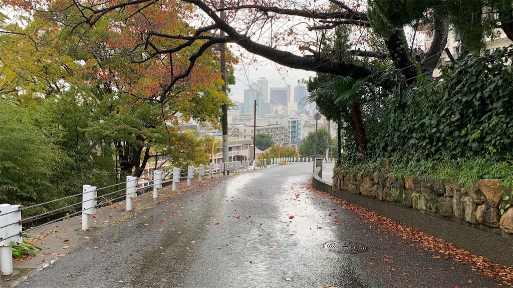f:id:Mikagi_Marfes:20211208141406j:image f:id:Mikagi_Marfes:20211208141406j:image