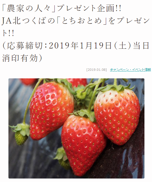 懸賞13日目 Jaのとちおとめプレゼントキャンペーン 専業主婦の懸賞生活ブログ 懸賞13日目 Jaのとちおとめプレゼントキャンペーン 専業主婦の懸賞生活ブログ