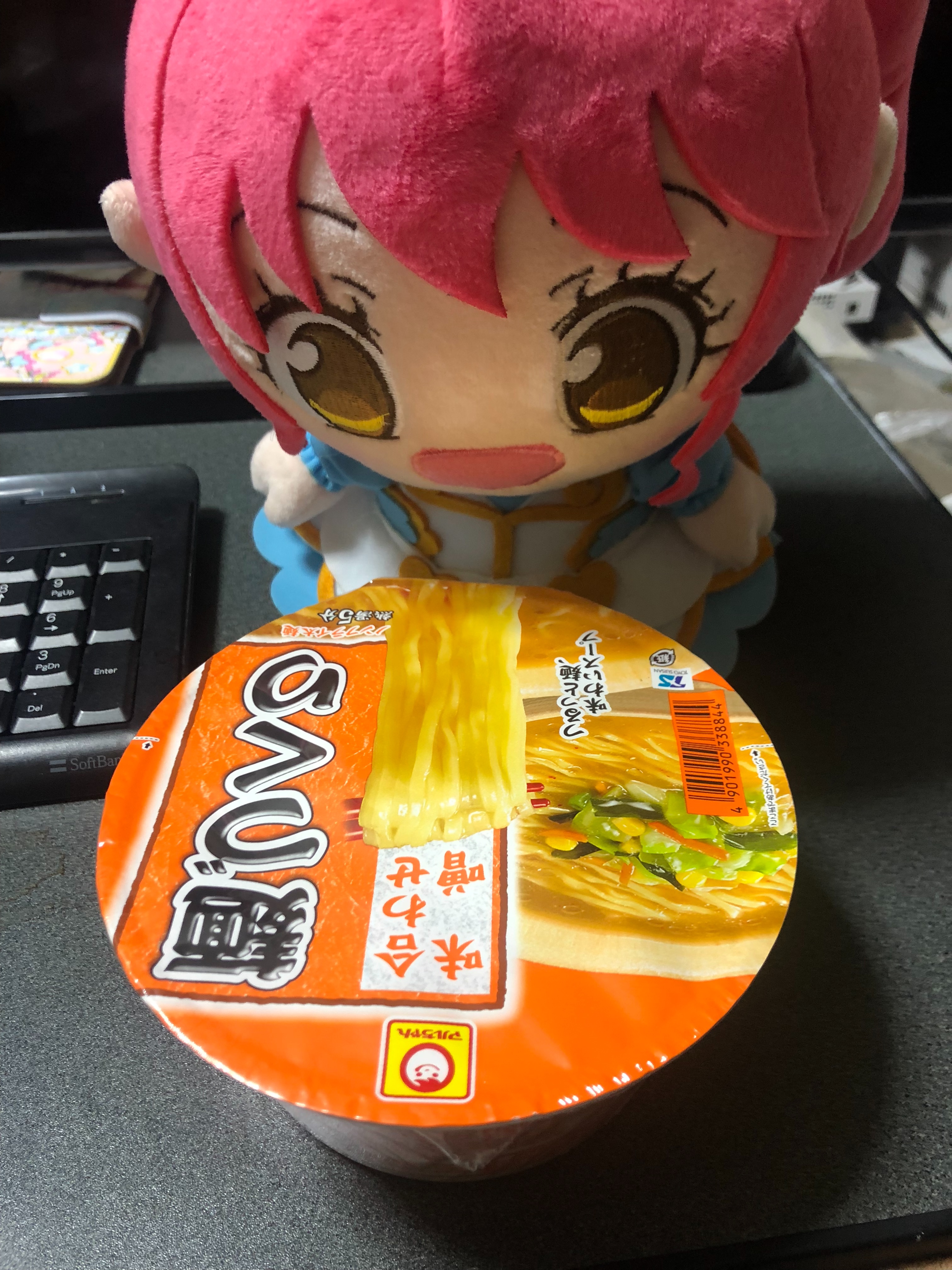 f:id:Mikan_Shiratama:20190421191326j:image