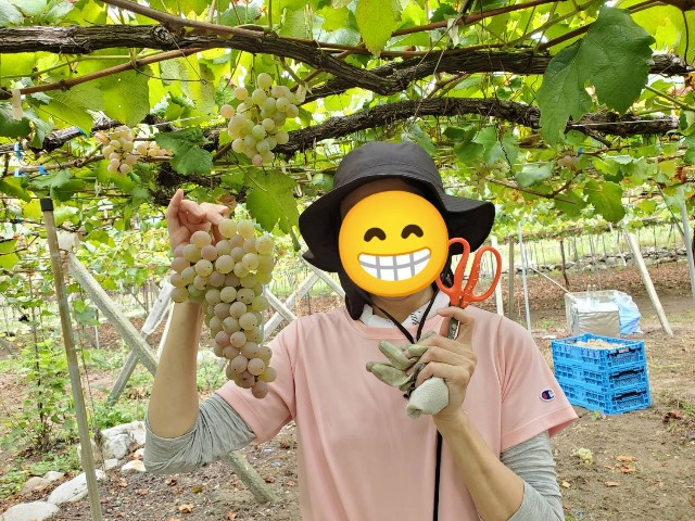 f:id:Miki_diary:20241118185210j:image