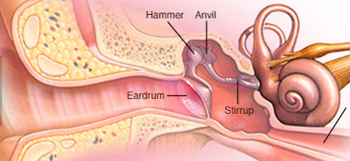 f:id:Mikoe:20200723201452j:plain