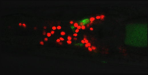 f:id:MikuHatsune:20161105121411p:image f:id:MikuHatsune:20161105121411p:image