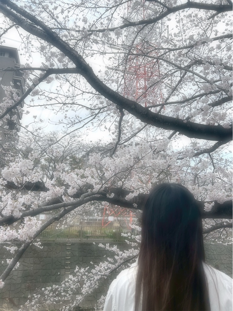 f:id:Milkyway000:20260328154504j:image