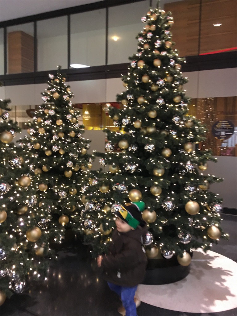 f:id:Mimilein:20181202065225j:image f:id:Mimilein:20181202065225j:image