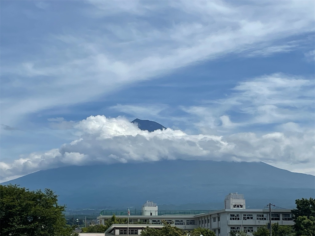 f:id:Mimizuku-T:20250714121548j:image f:id:Mimizuku-T:20250714121548j:image