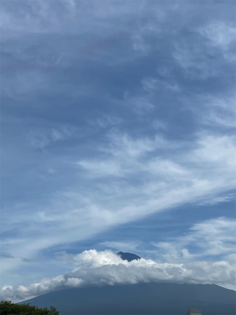 f:id:Mimizuku-T:20250714121609j:image f:id:Mimizuku-T:20250714121609j:image