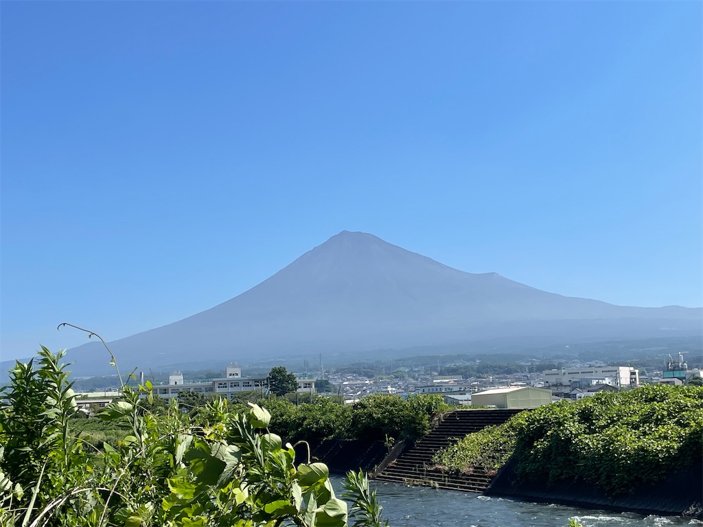 f:id:Mimizuku-T:20250729092446j:image f:id:Mimizuku-T:20250729092446j:image