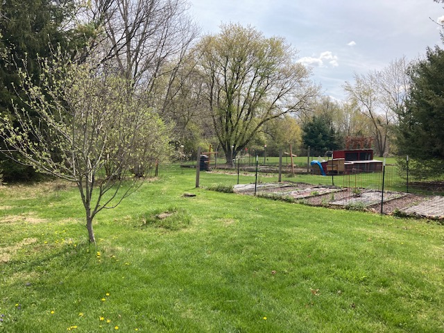 f:id:MimosaPalette:20210420020031j:plain