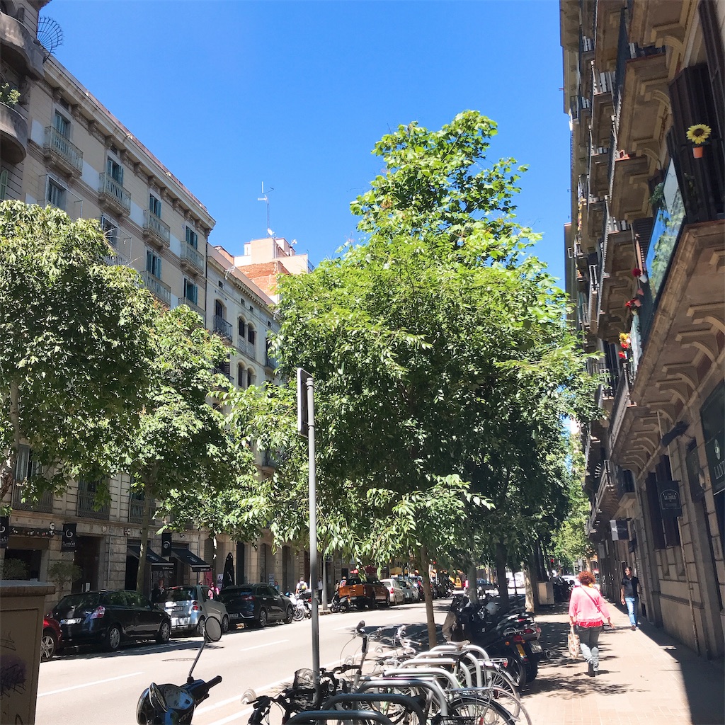 f:id:Minaco:20190618134847j:image