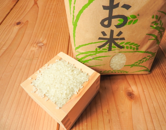 f:id:MinamotoKanjin:20200302011007j:plain f:id:MinamotoKanjin:20200302011007j:plain