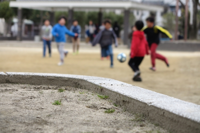 f:id:MinamotoKanjin:20200410201610j:plain