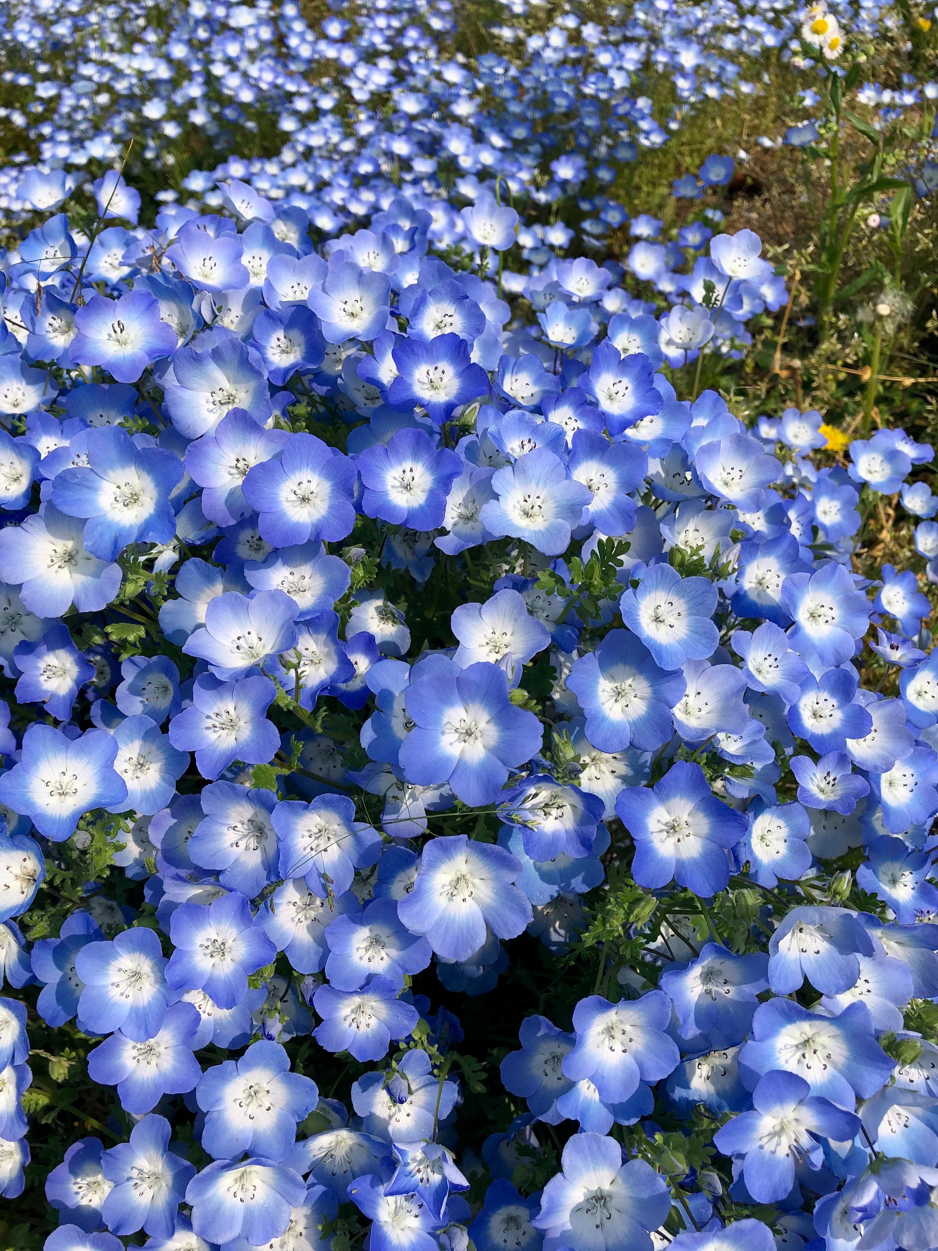 f:id:Minaru:20240715214732j:image f:id:Minaru:20240715214732j:image