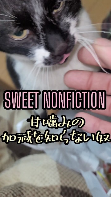 f:id:MindSatake:20240319221846j:image f:id:MindSatake:20240319221846j:image